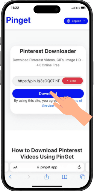 Paste the link into PinGet